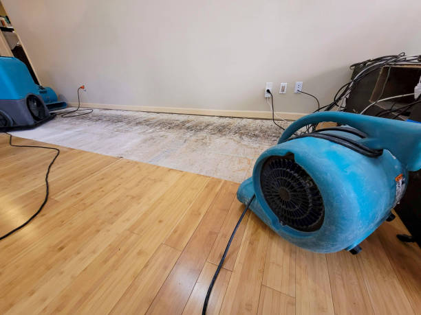 Professional Flood Damage Cleanup technician working in Palms, MI